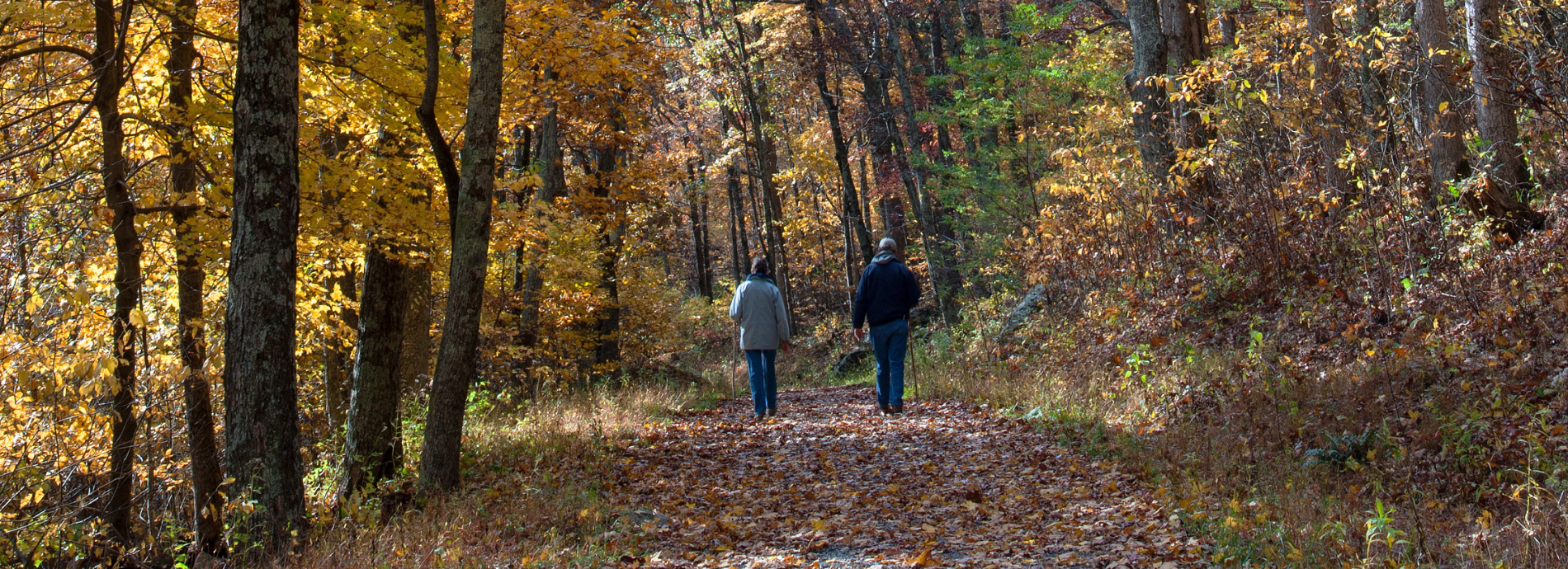 Two adults walking outdoors