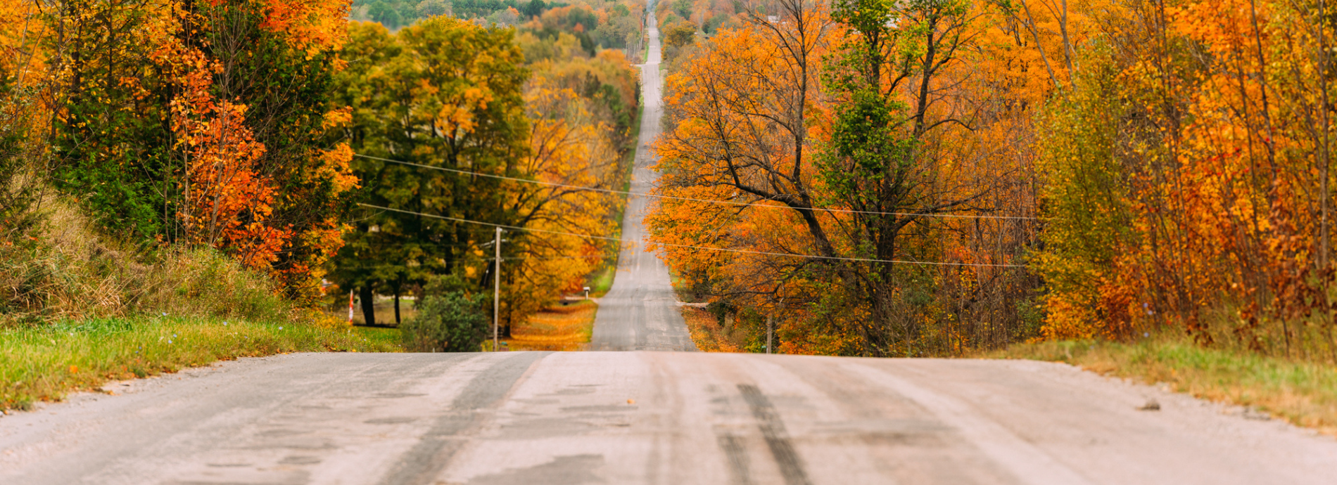 Road in Severn during fall