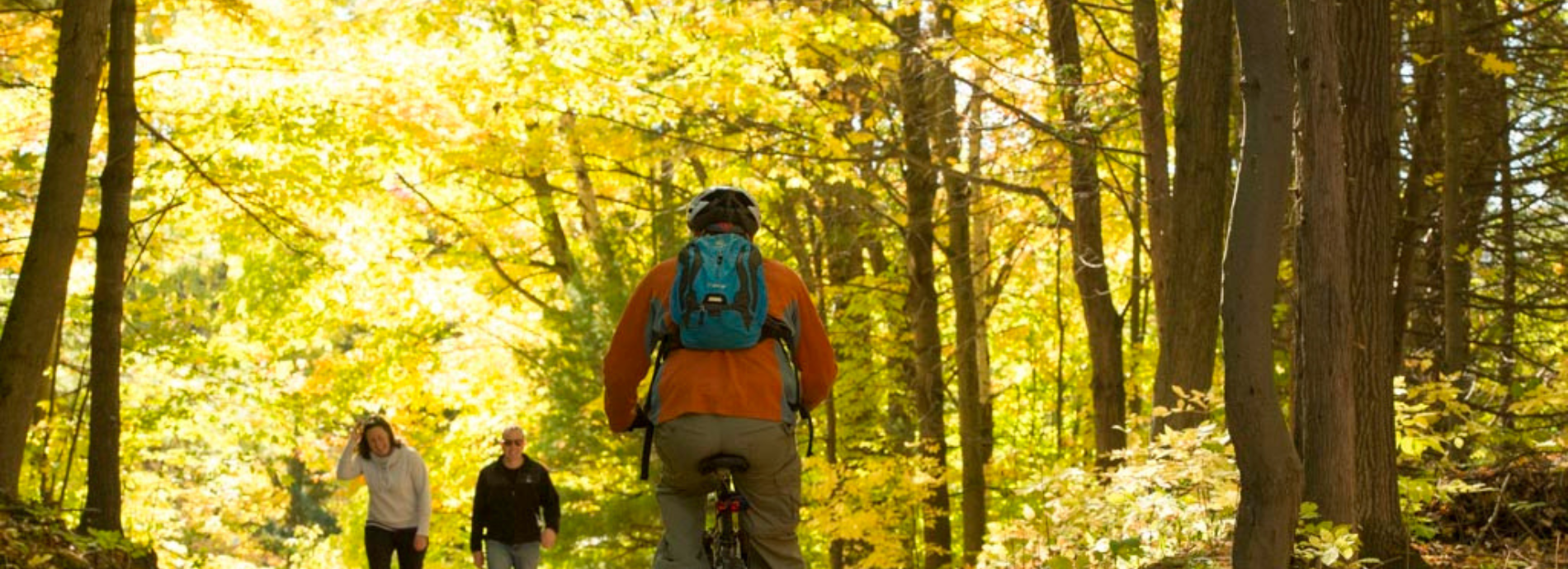 cyclists and hikers on a trail in fall