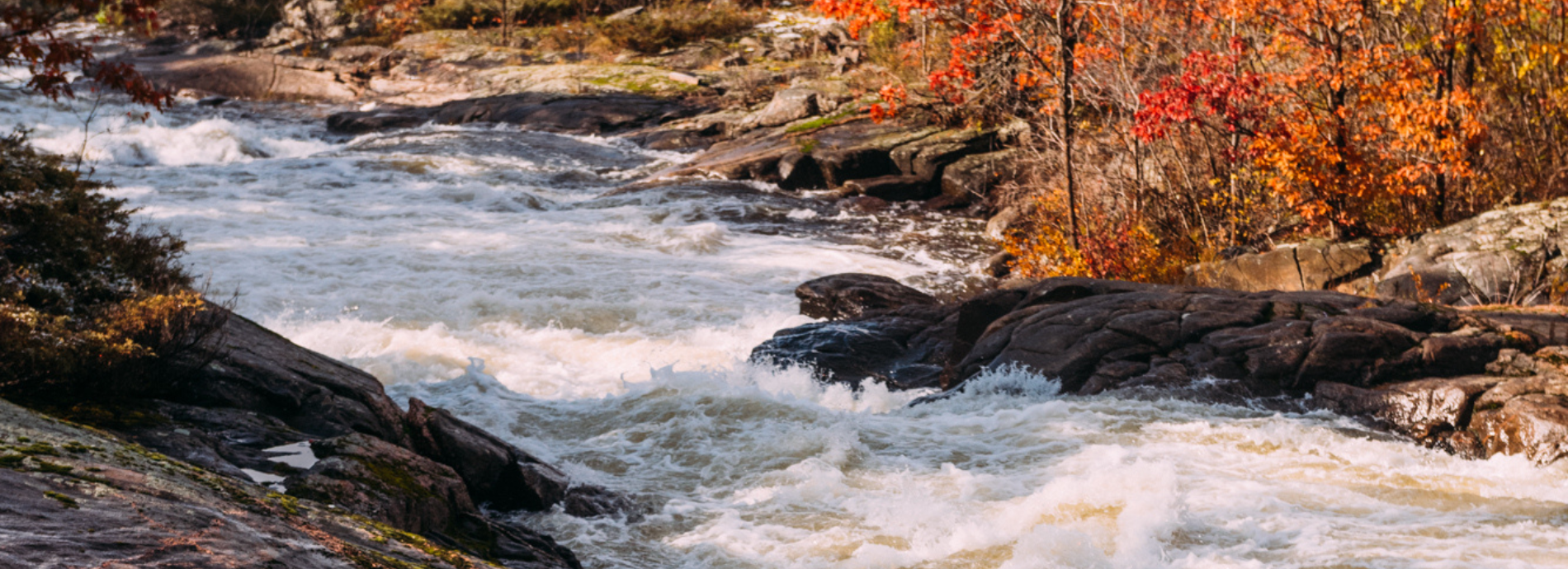 rapids on the Severn River surrounded by trees in fall colours