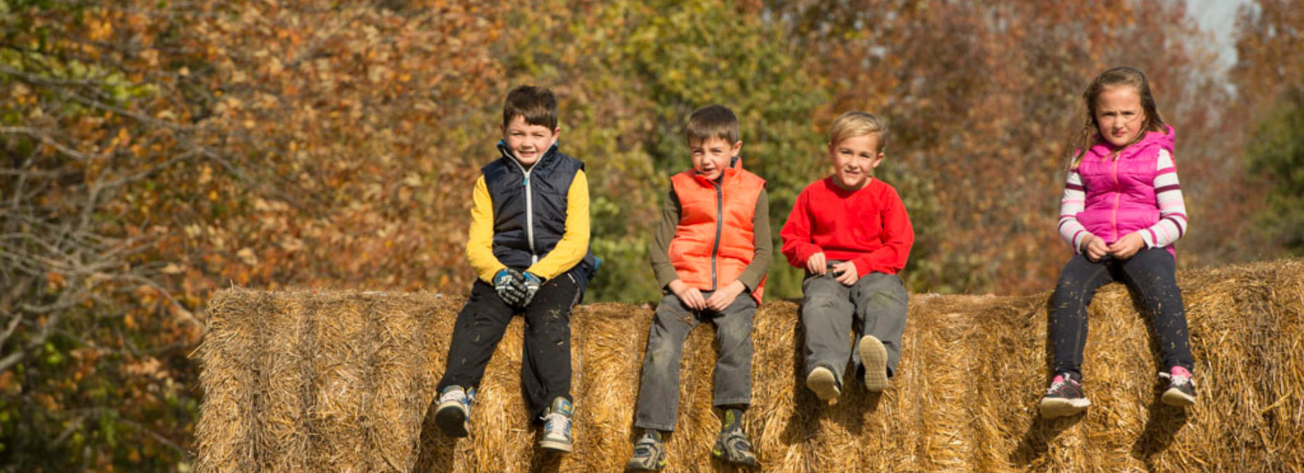 children sitting on hay bales in autumn