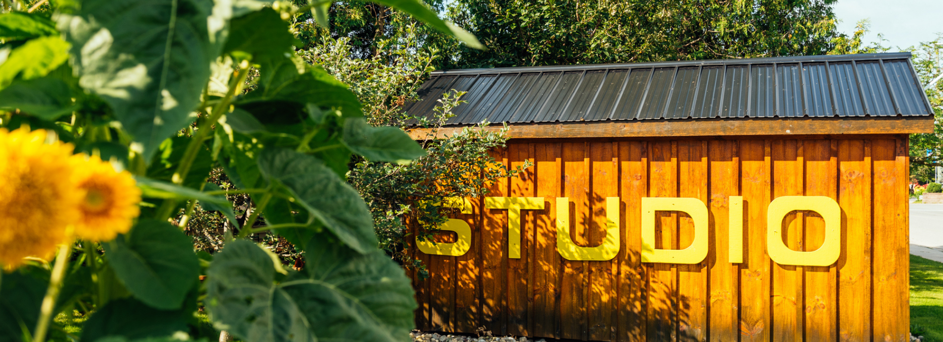 art studio building in Coldwater surrounded by sunflowers