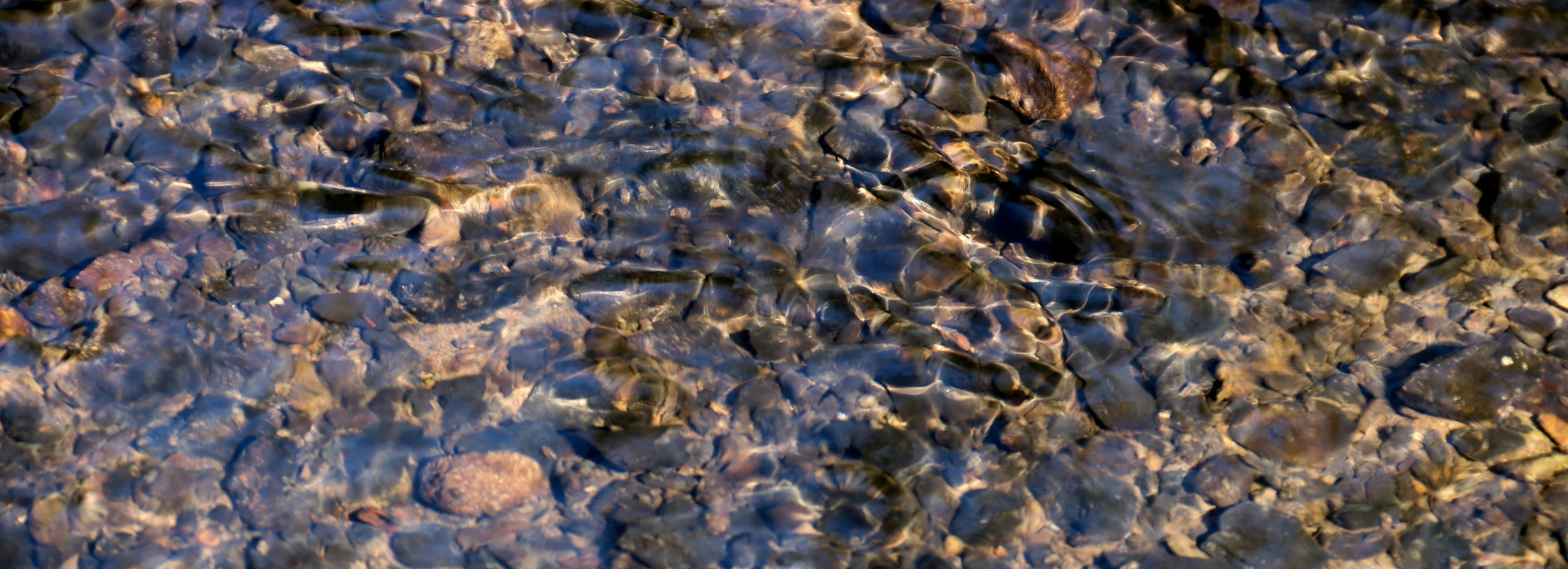 rocks in shallow water