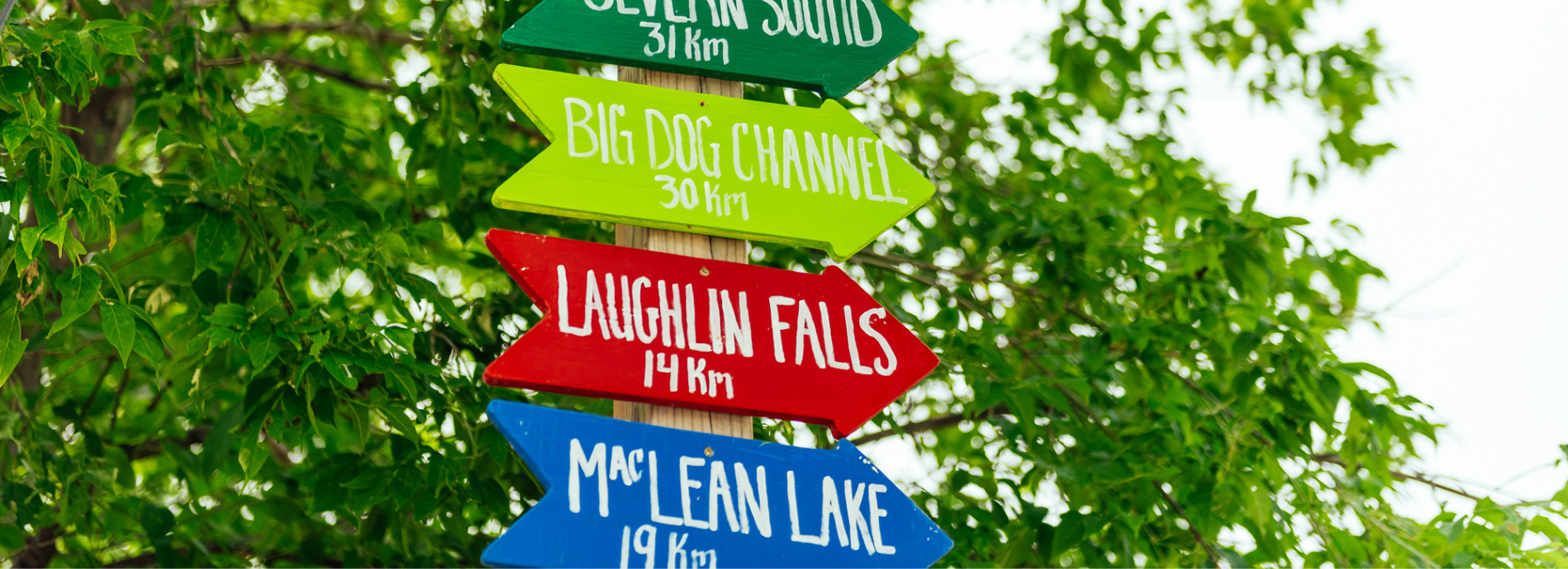 directional signage in vibrant colours