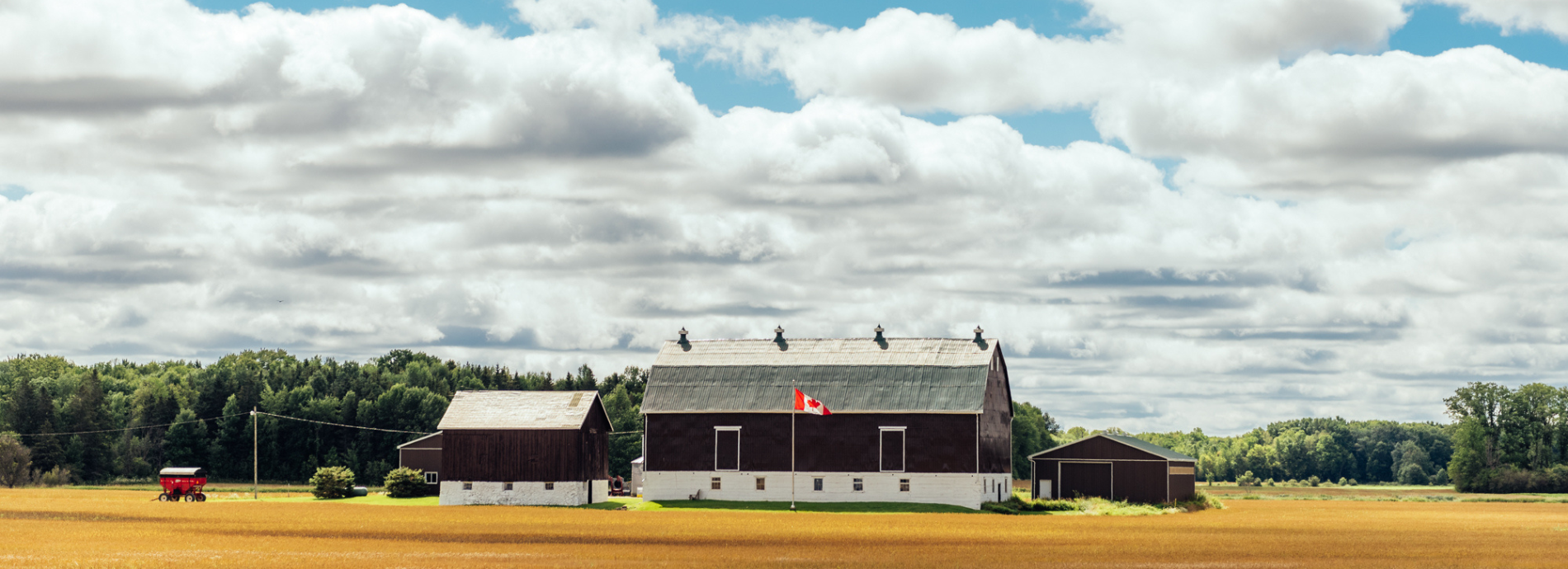 agricultural field and barn in summer
