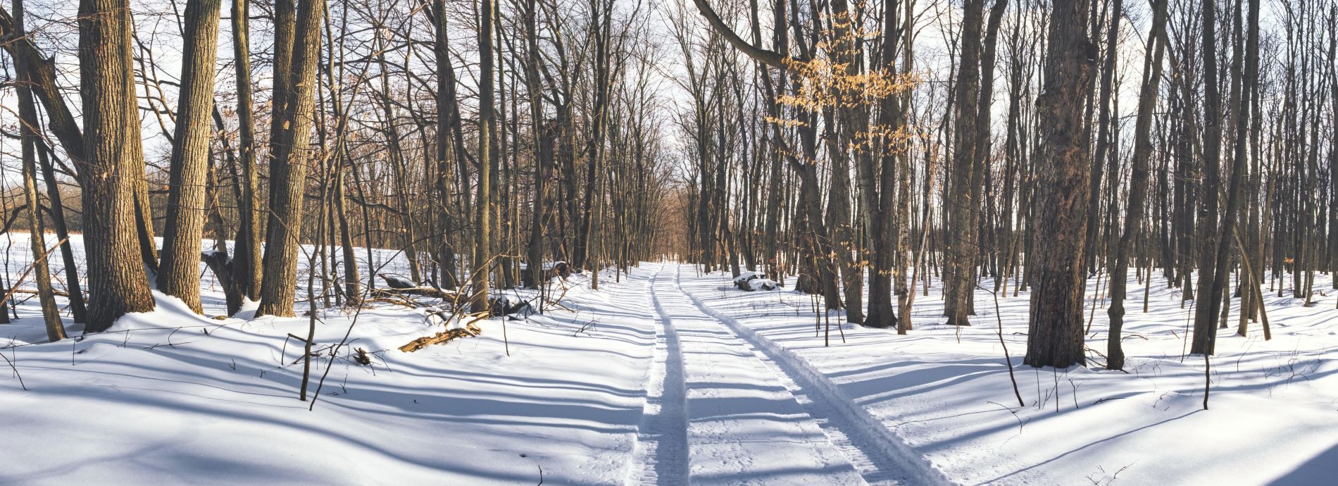 winter trail through rural countryside