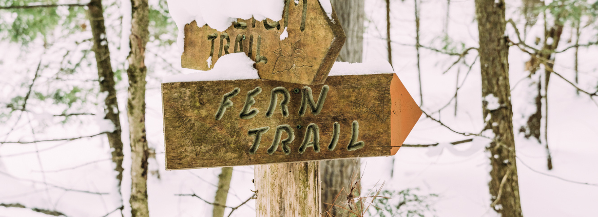 trail signs at Grants Woods in Severn