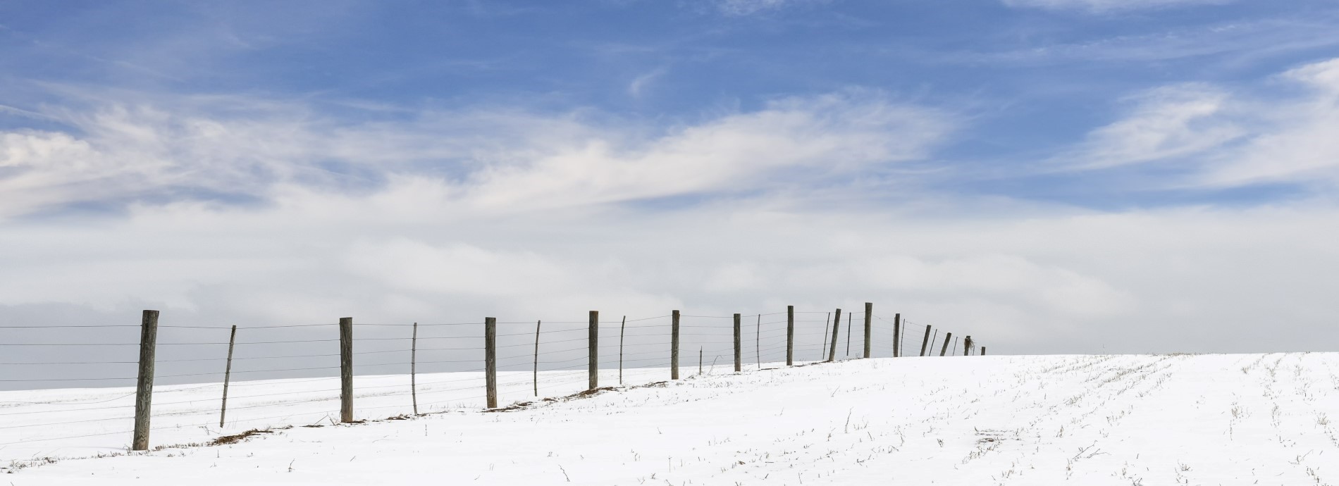 winter fence line