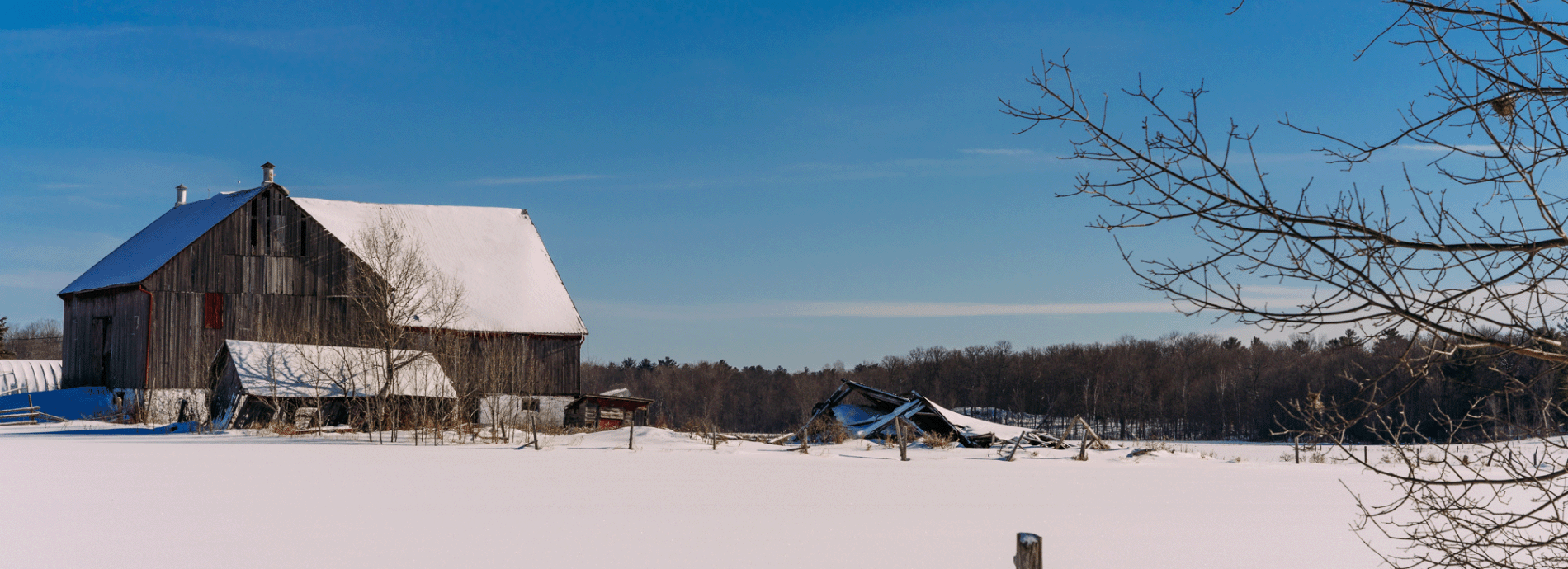 agricultural field and barn in fall