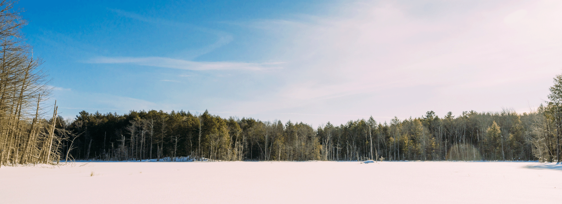 winter landscape