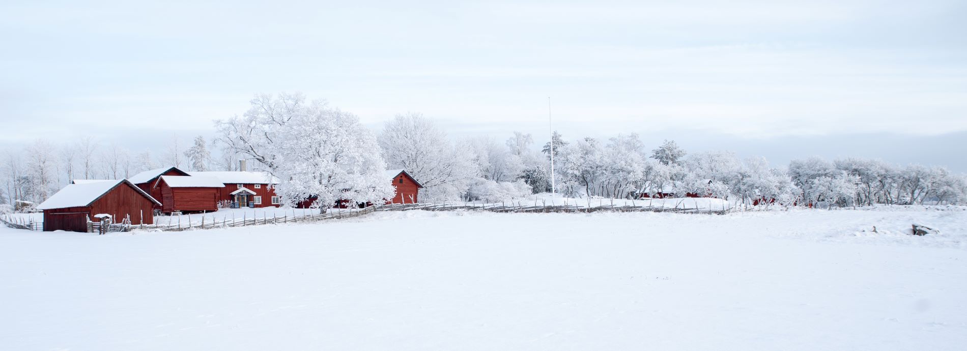 farmland in winter