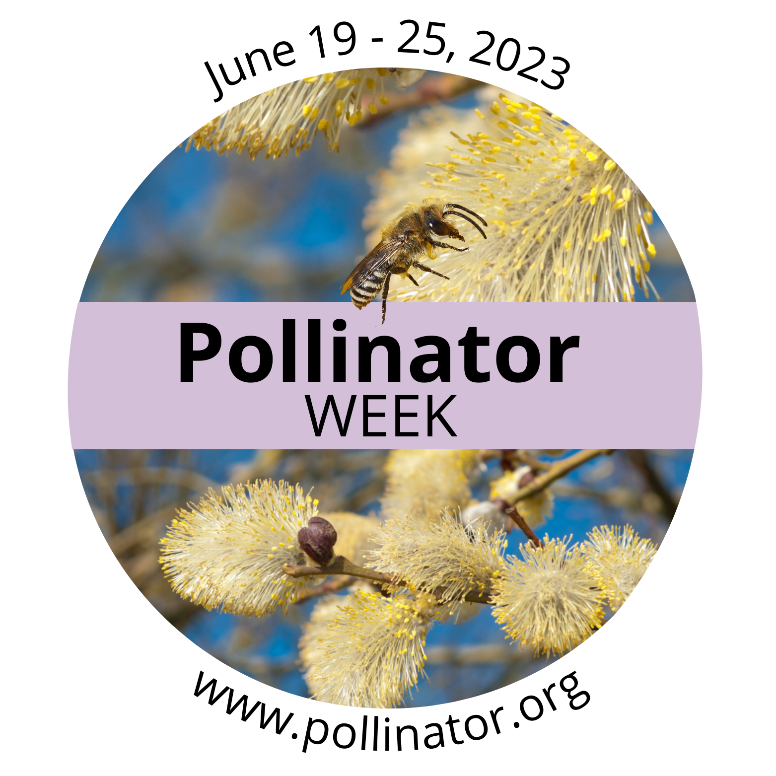 Pollinator Week logo