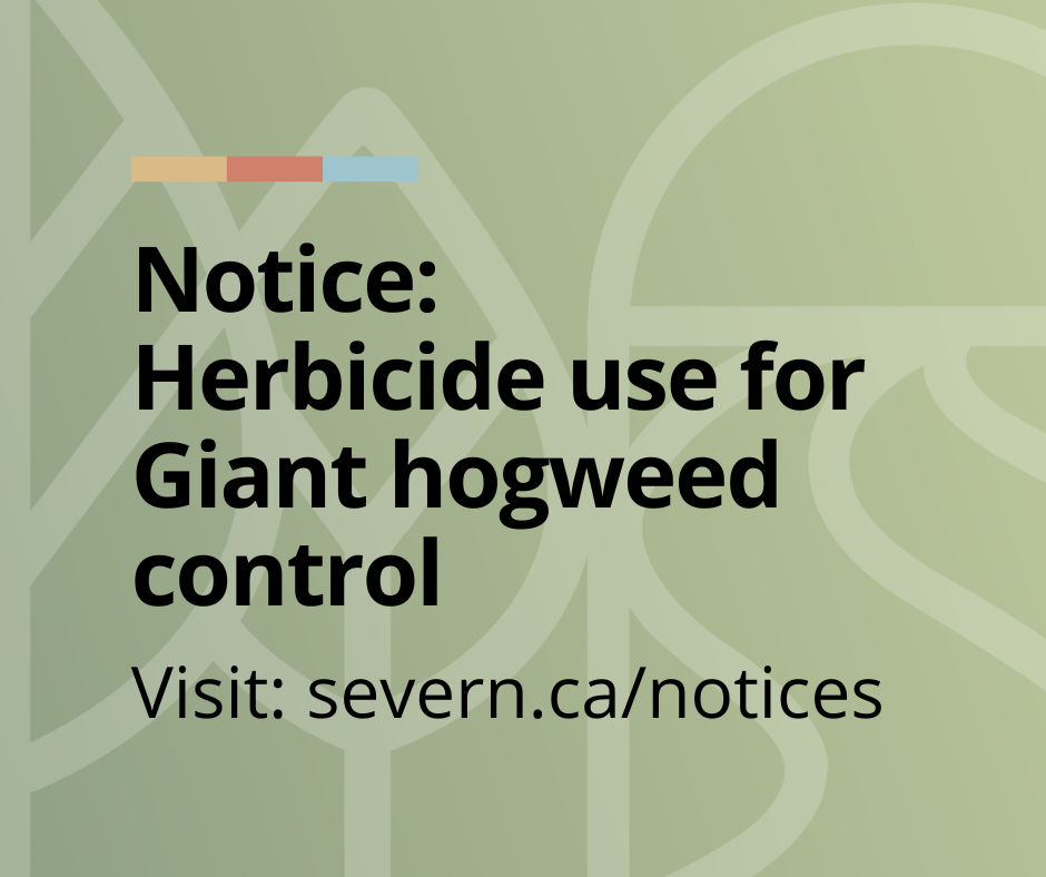 Notice of herbicide use for Giant hogweed control