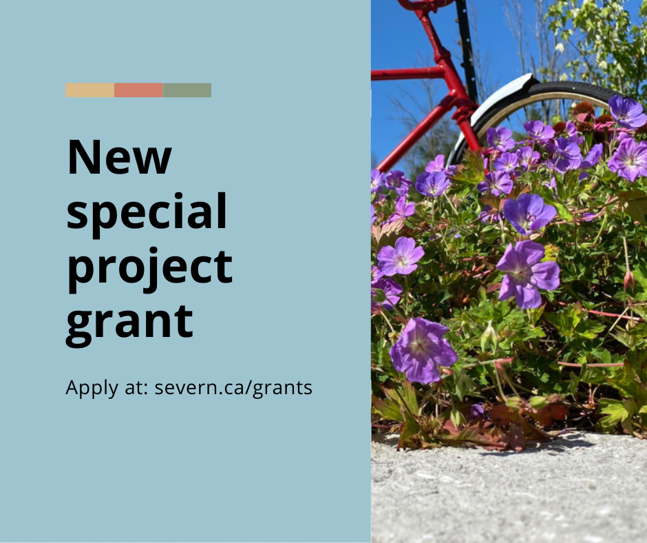 special project grant