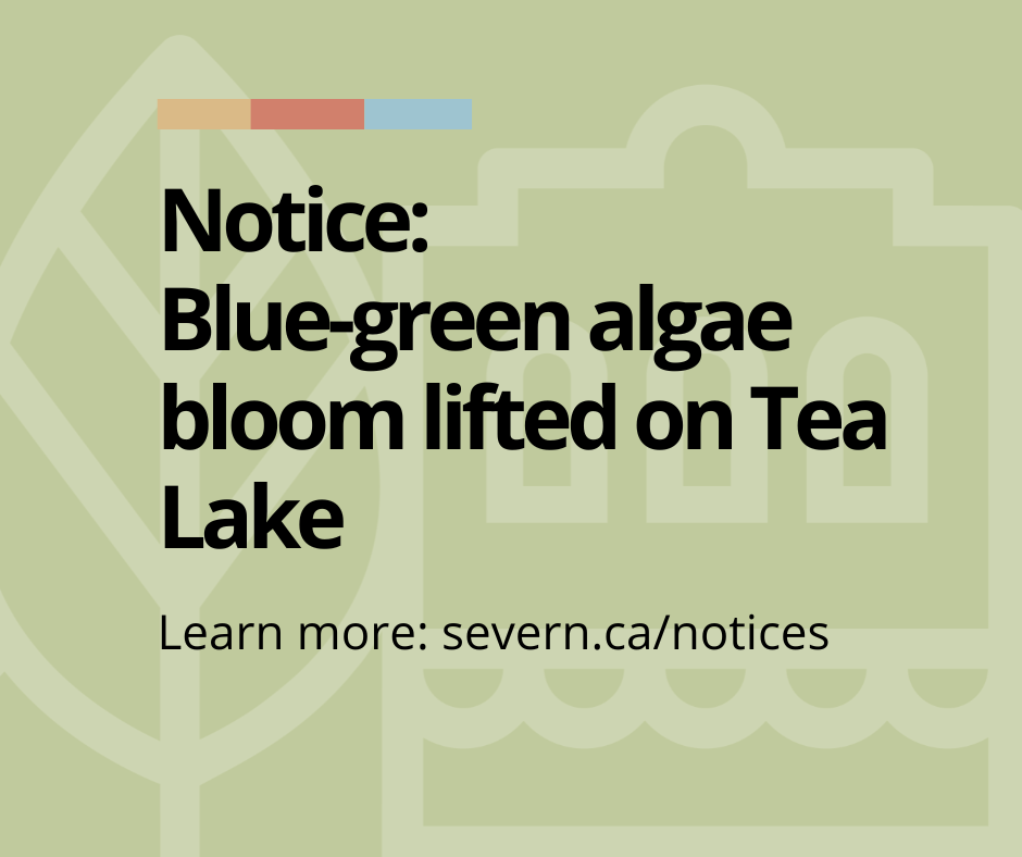 Blue-green algae bloom notice lifted on Tea Lake