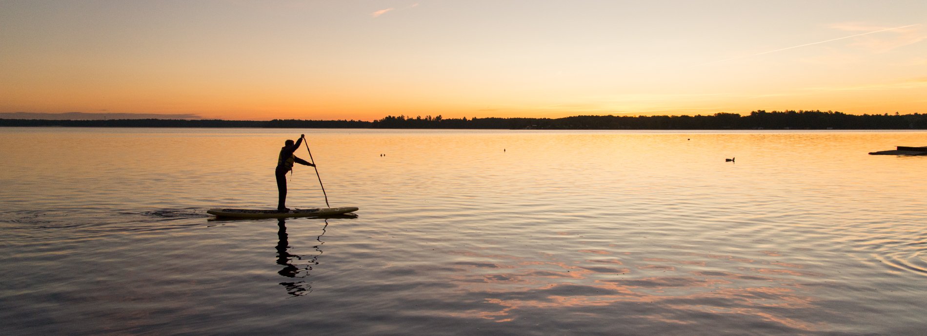 standup paddling sunset