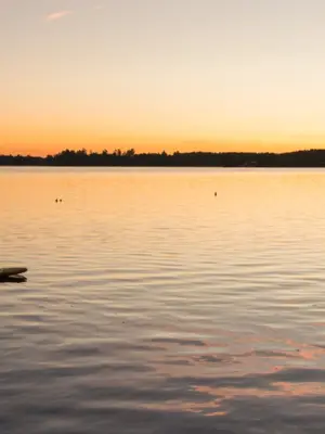 paddleboard at sunset on a lake in Severn