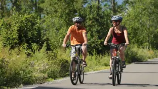 Forestry and recreation